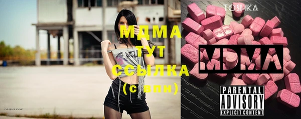 прущие грибы Ельня