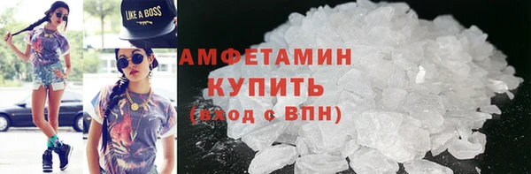 прущие грибы Ельня