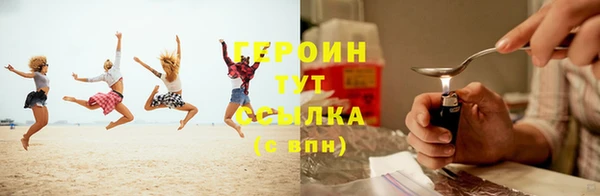 прущие грибы Ельня