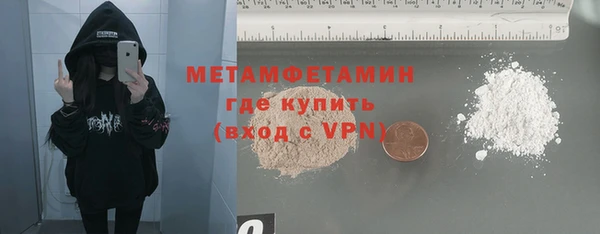 прущие грибы Ельня