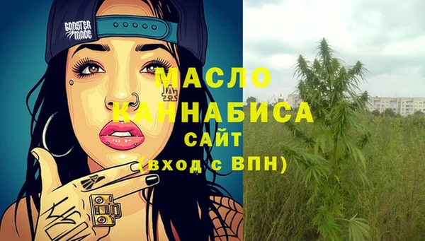 прущие грибы Ельня