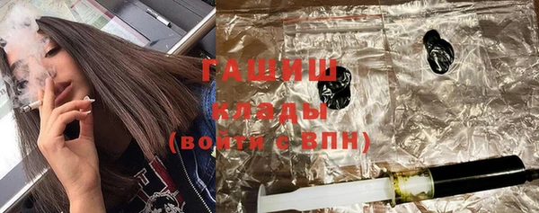 прущие грибы Ельня