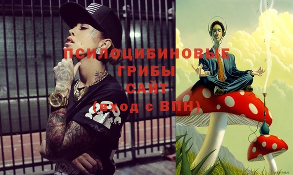 хмурый Елизово