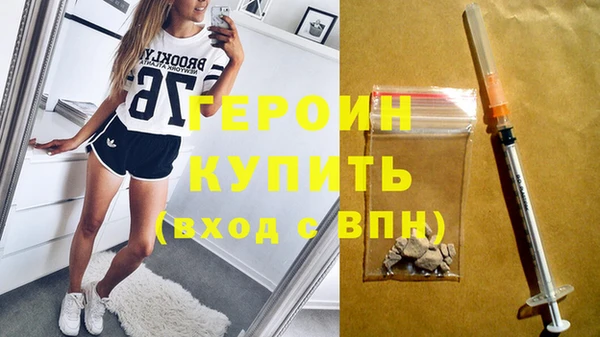 прущие грибы Ельня