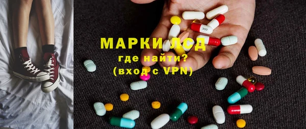 прущие грибы Ельня