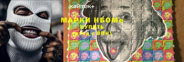 хмурый Елизово