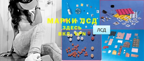 хмурый Елизово