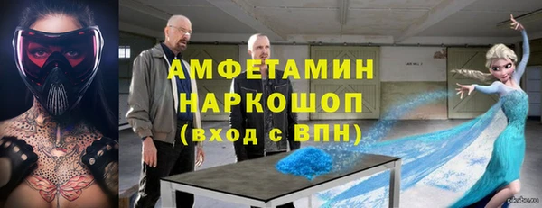 прущие грибы Ельня