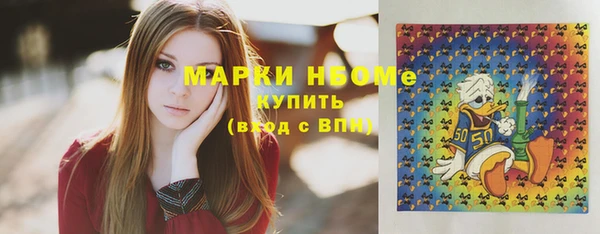 прущие грибы Ельня