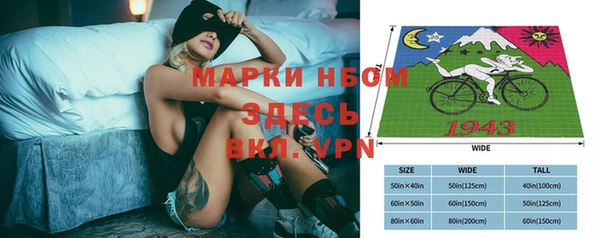 хмурый Елизово